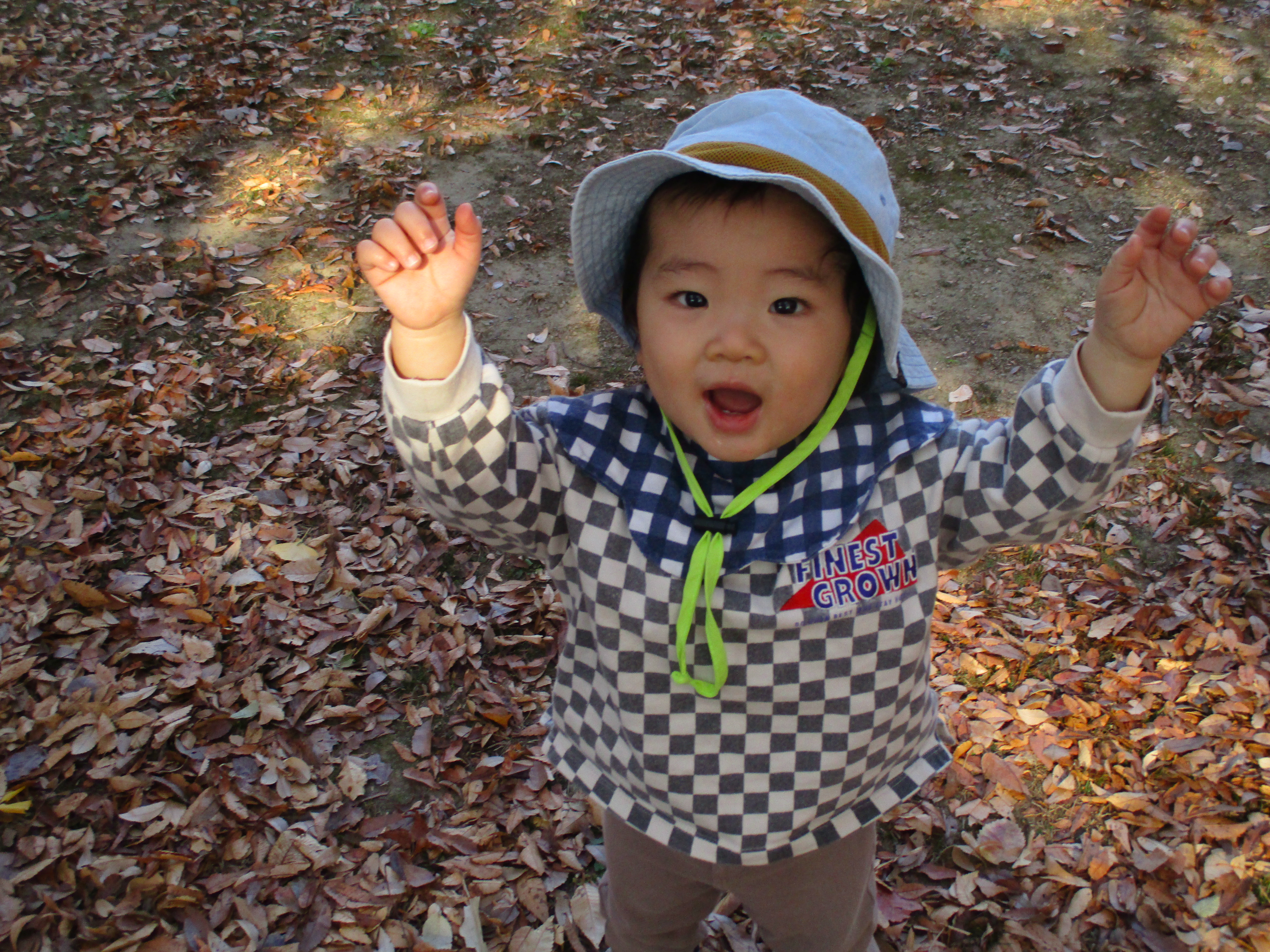 つくし組　落ち葉で遊んだよ🍂♡