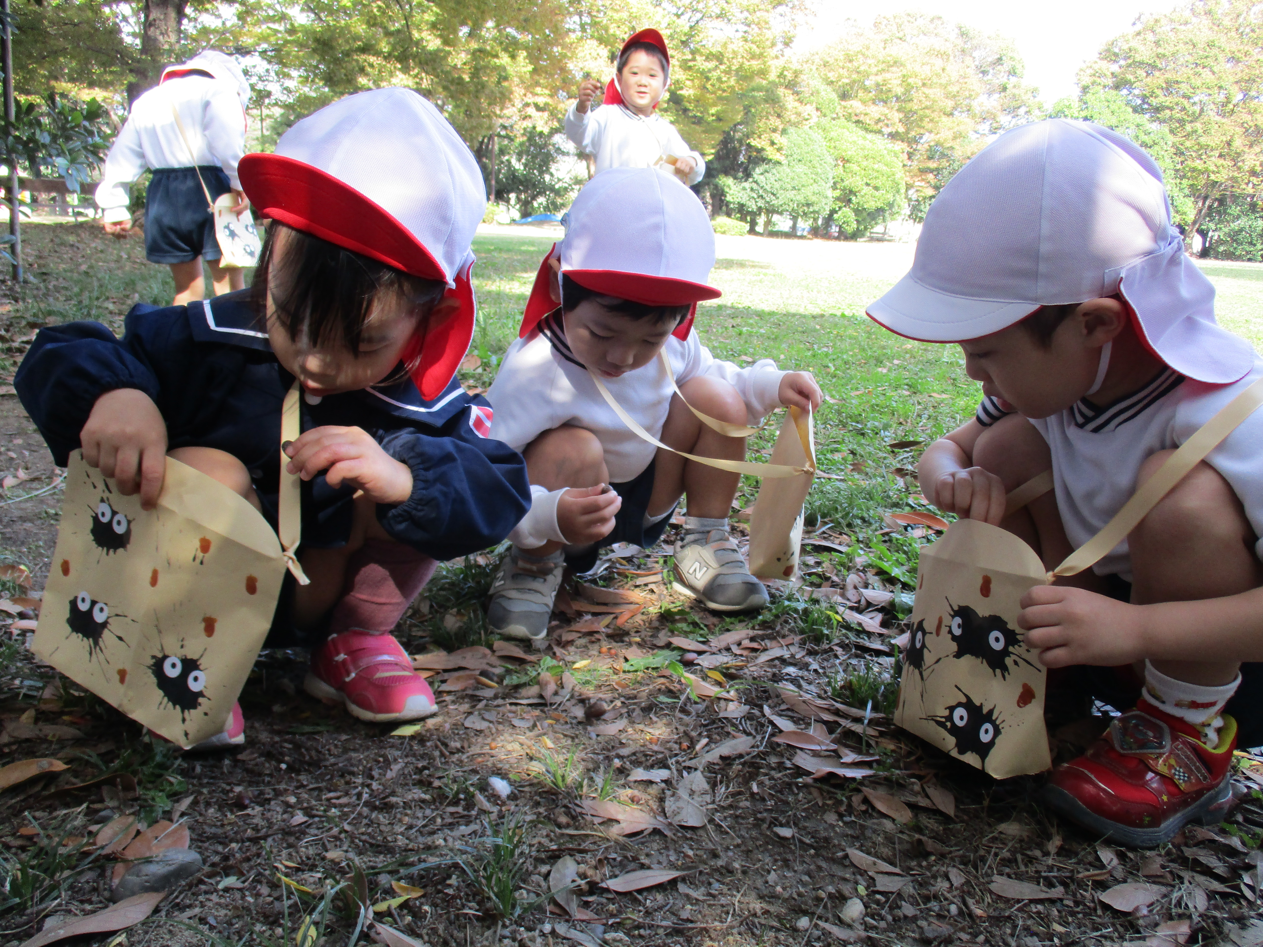 れんげ組　どんぐりたくさん拾ったよ！