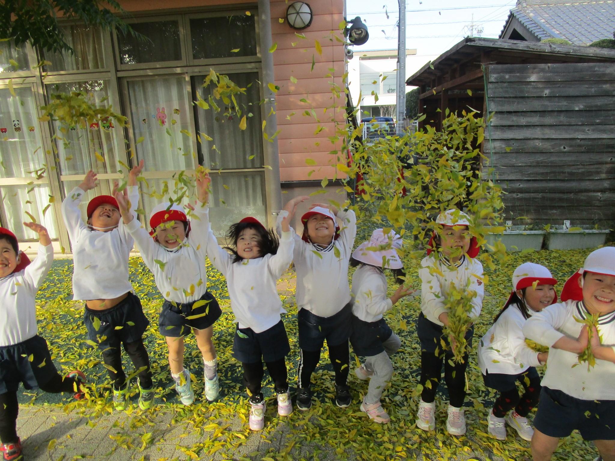 ゆり組　葉っぱで遊ぶの楽しいな♪