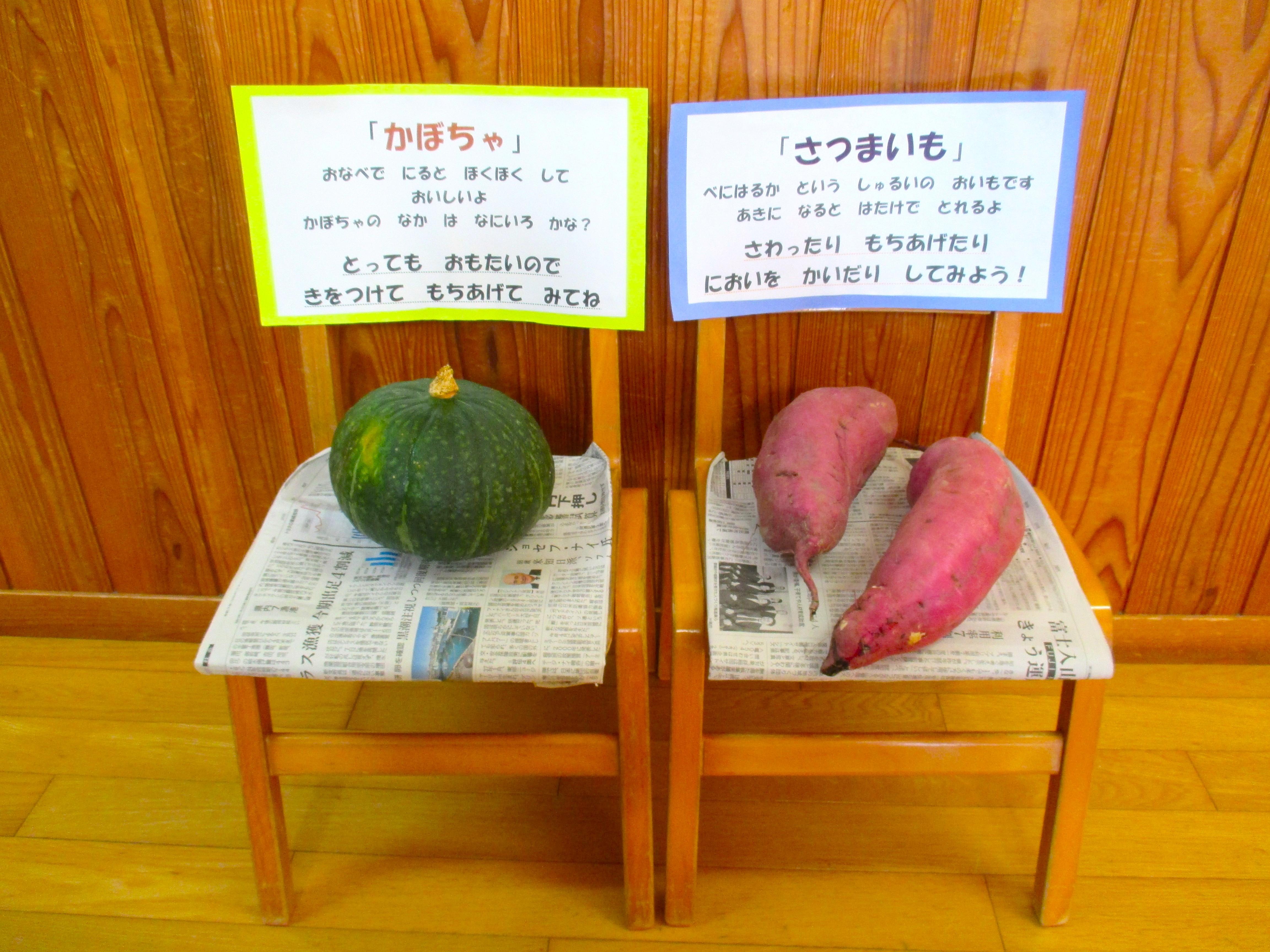 さわってみよう！旬のお野菜たち