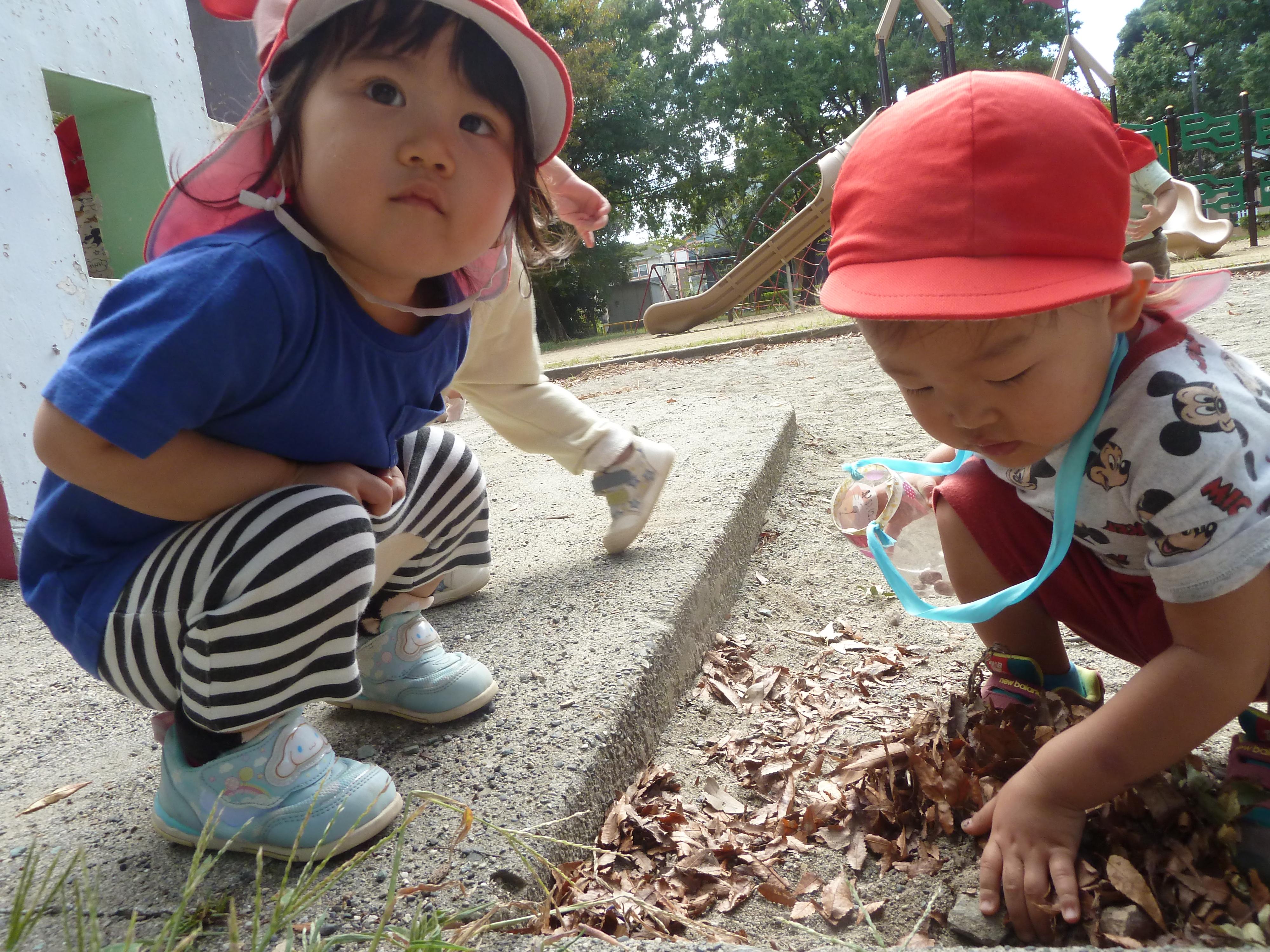 たんぽぽ組　どんぐりころころ